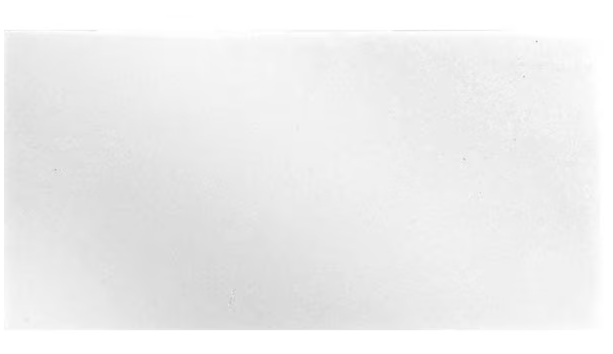 Thassos White Tile | Permium 12x24