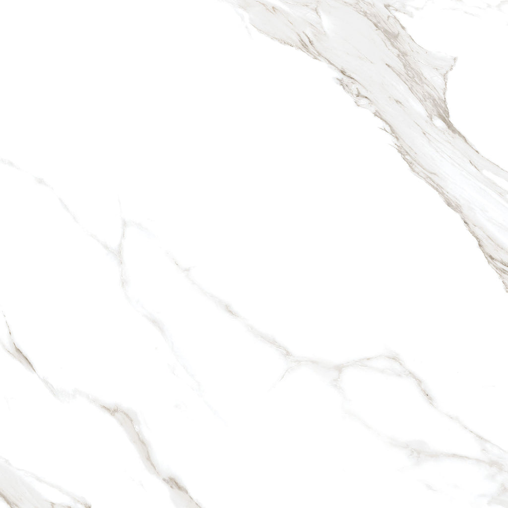 Satvario Calacatta 12x24