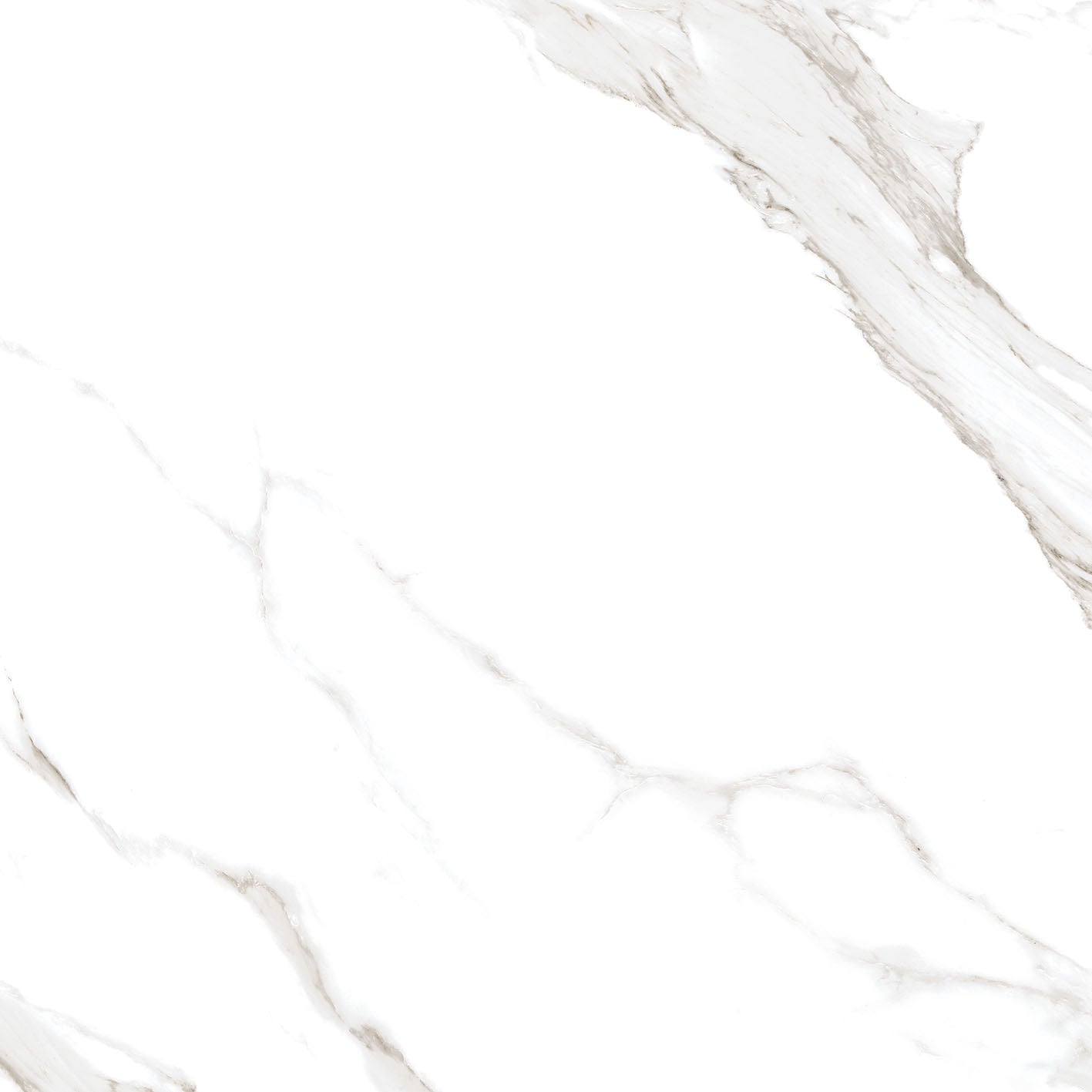 Satvario Calacatta 12x24